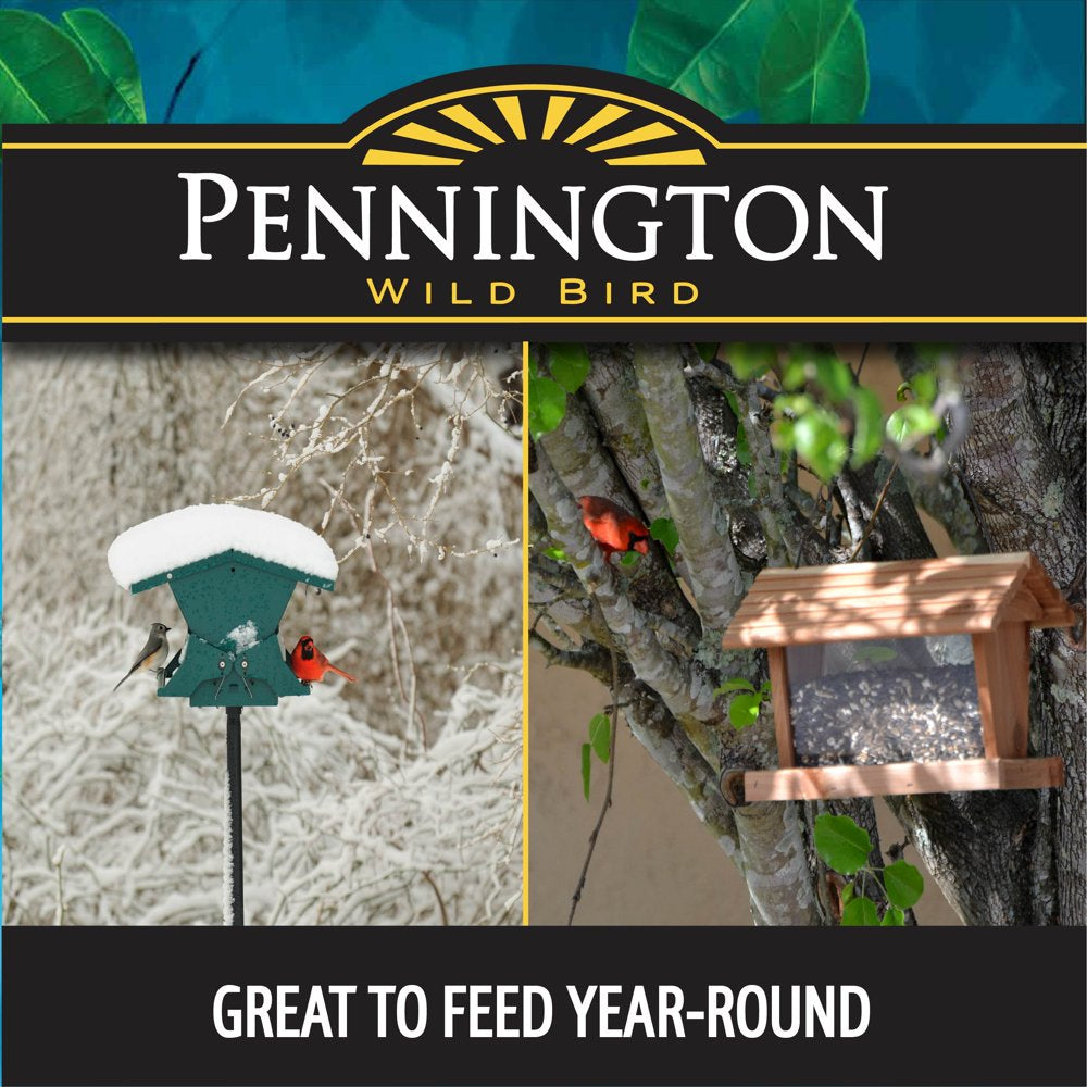 Pennington Wild Bird Premium Select Blend Feed and Seed, 20 Lb. Animals & Pet Supplies > Pet Supplies > Bird Supplies > Bird Treats Pennington   