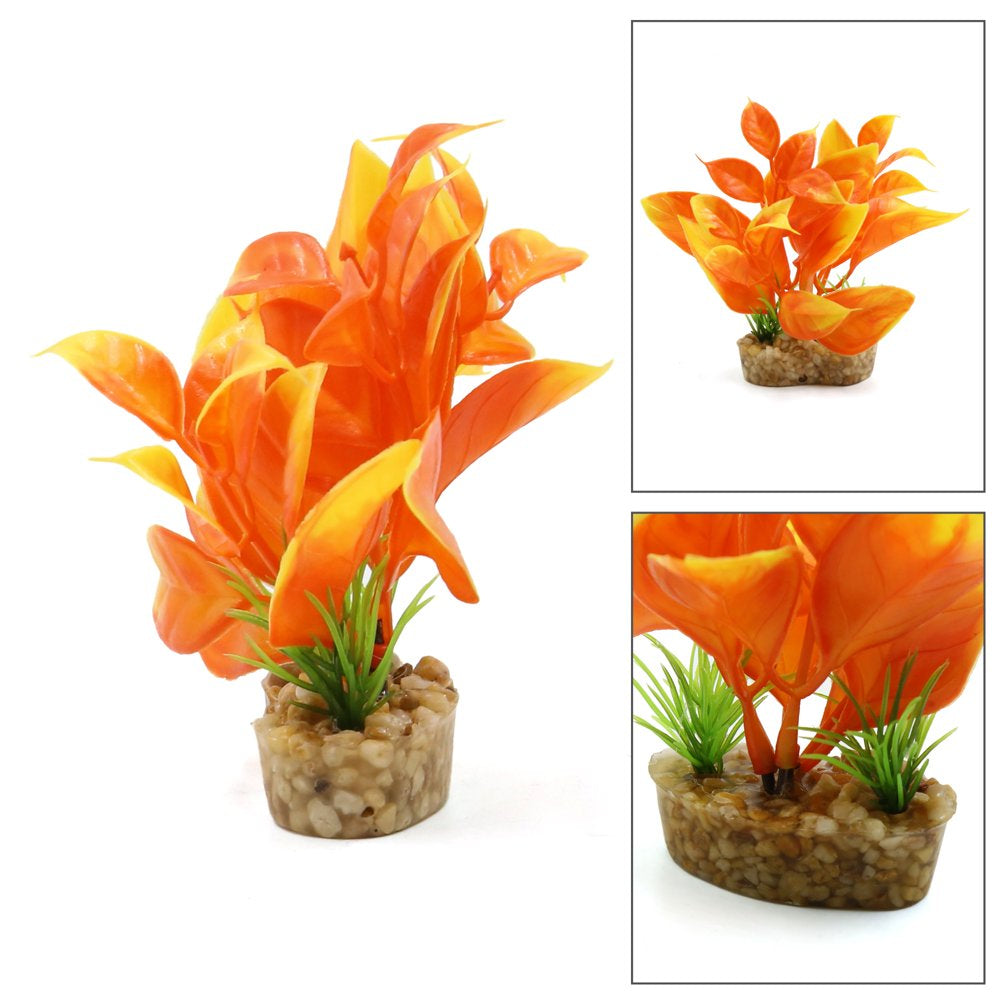 Ceramic Base Plastic Mini Plant Terrarium Habitat for Reptiles Amphibians Animals & Pet Supplies > Pet Supplies > Small Animal Supplies > Small Animal Habitat Accessories Unique Bargains   