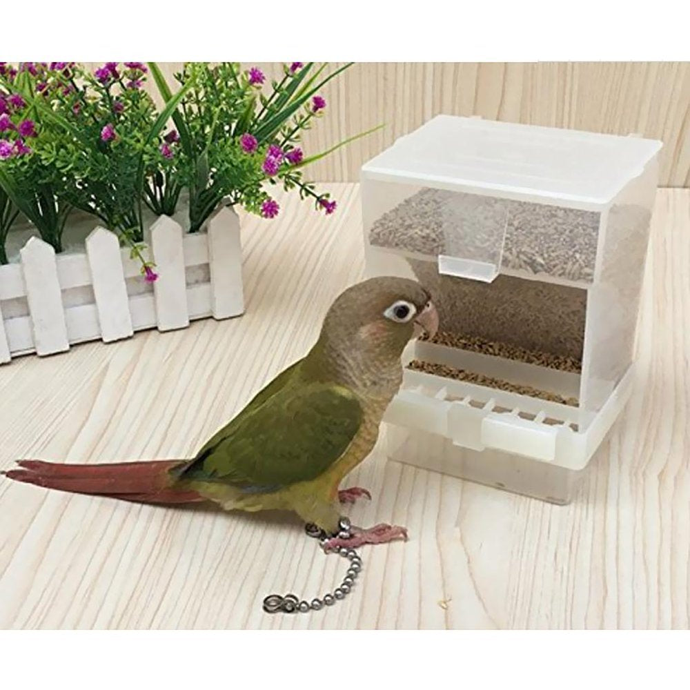 Automatic Bird Feeder, Bird Feeder, Cage Accessories for Budgerigar Canary Cockatiel Finch Parakeet Seed Food Container 1Pc Animals & Pet Supplies > Pet Supplies > Bird Supplies > Bird Cage Accessories perfk   