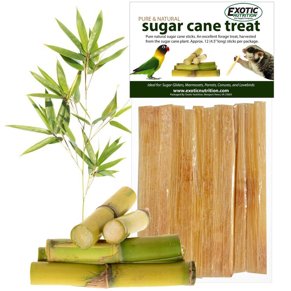 Exotic Nutrition Sugar Cane Sticks Sugar Glider Treat Animals & Pet Supplies > Pet Supplies > Small Animal Supplies > Small Animal Treats Exotic Nutrition   