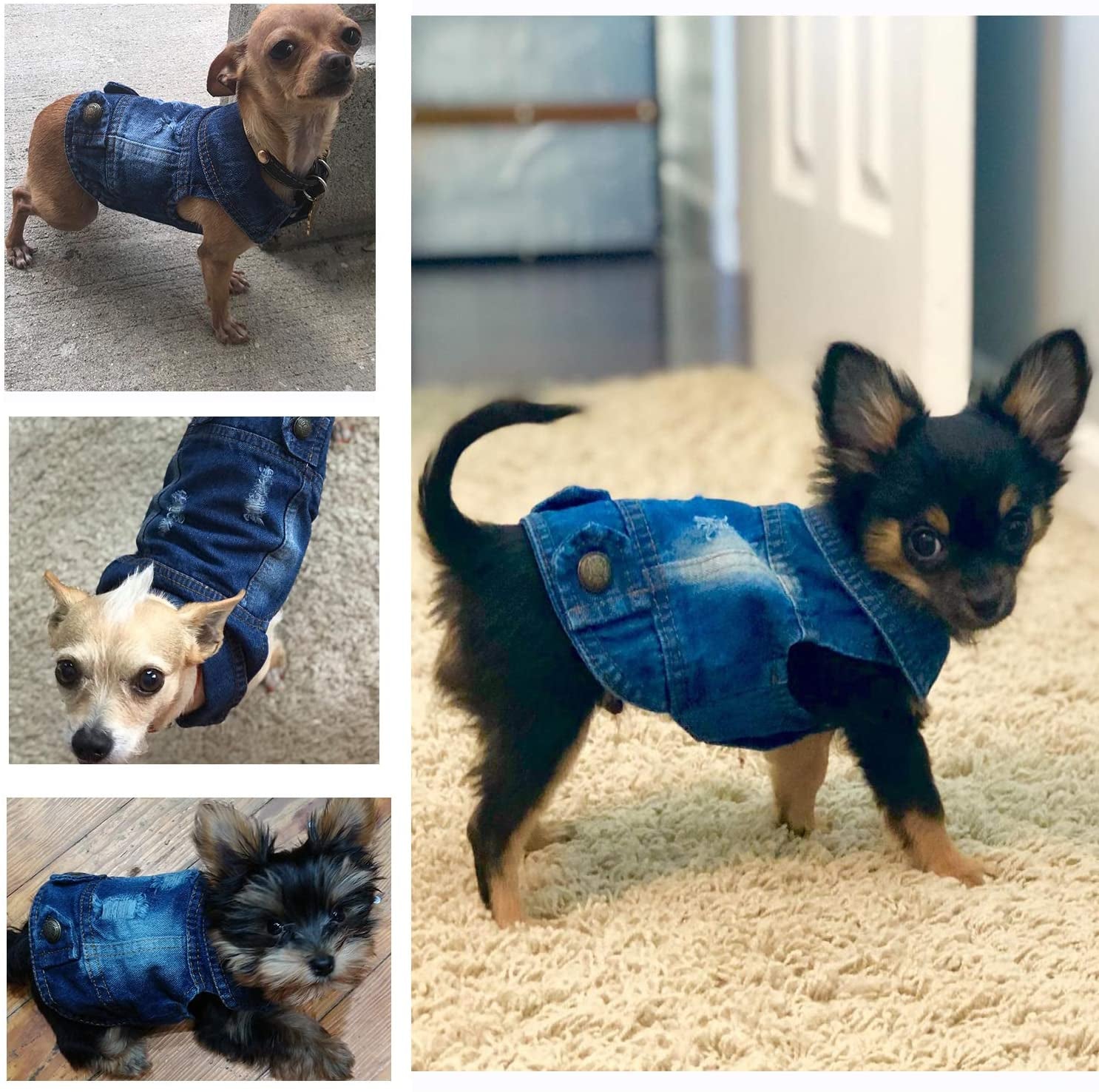 Rooroopet Pet Clothes,Dog Jeans Jacket,Cool Blue Denim Coat,Small Medium Dogs Cats, Lapel Vests Cats Classic Puppy Blue Vintage,Machine Washed Clothes Animals & Pet Supplies > Pet Supplies > Dog Supplies > Dog Apparel Rooroopet   