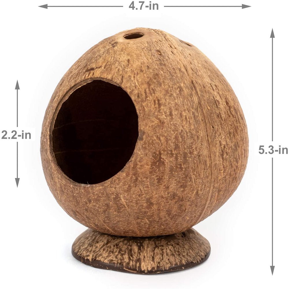 Coconut Hut Hamster House Bed for Gerbils Mice Small Animal Cage Habitat Decor Animals & Pet Supplies > Pet Supplies > Small Animal Supplies > Small Animal Habitats & Cages SWATWL   