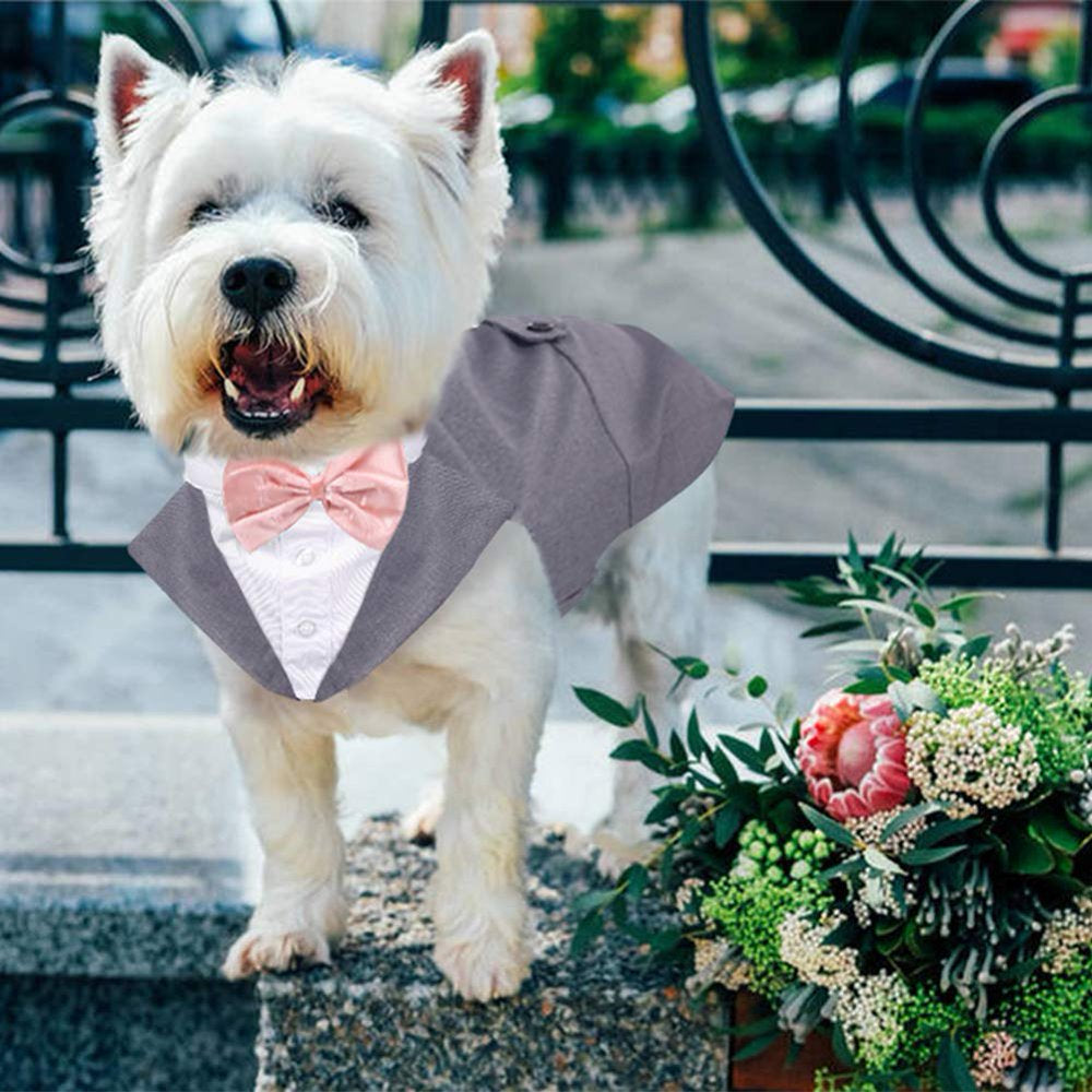 QBLEEV Dog Formal Tuxedo Suit for Medium Large Dogs，For Costume Wedding Party Outfit with Detachable Collar，Elegant Dog Apparel Bowtie Shirt and Bandana Set for Dress-Up Cosplay Holiday Wear Animals & Pet Supplies > Pet Supplies > Dog Supplies > Dog Apparel QBLEEV   