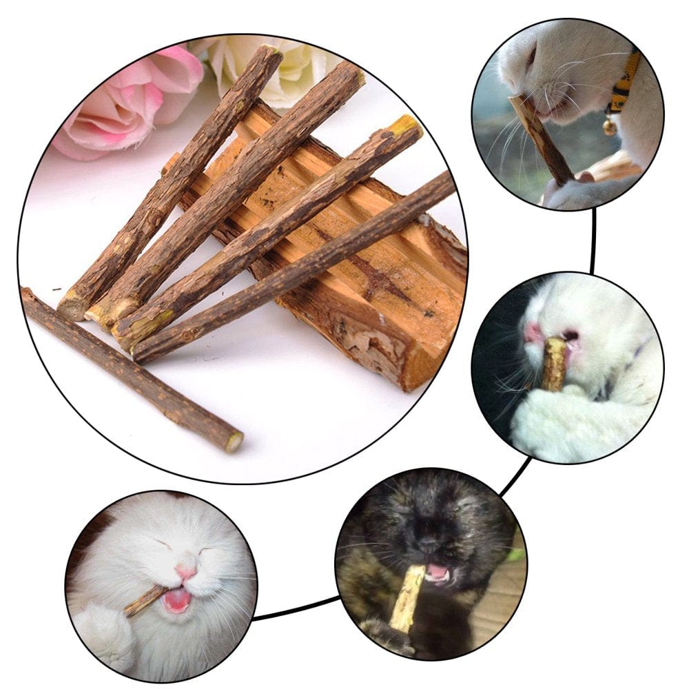 5Pcs Natural Mutian Pet Snack Cat Chew Stick Treat Toy Catnip Molar Food Cat Mint