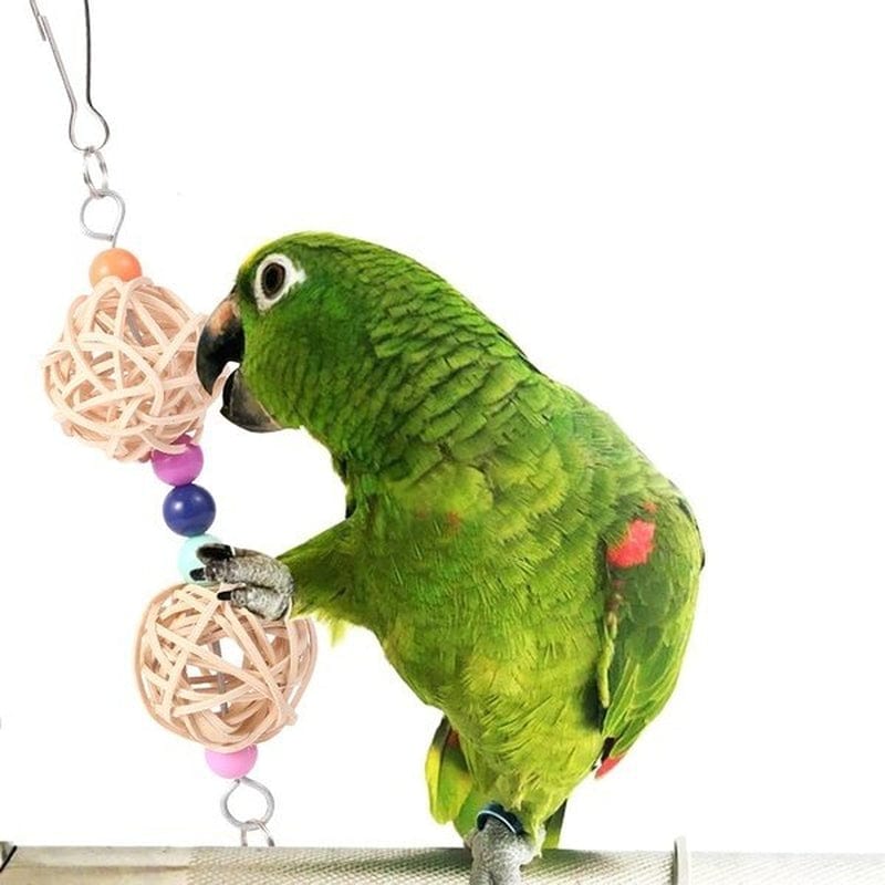 5Pcs/Set Parrot Toy Bird Cage Bell String Swing Hammock Parrot Chew Toy Animals & Pet Supplies > Pet Supplies > Bird Supplies > Bird Toys Willstar   