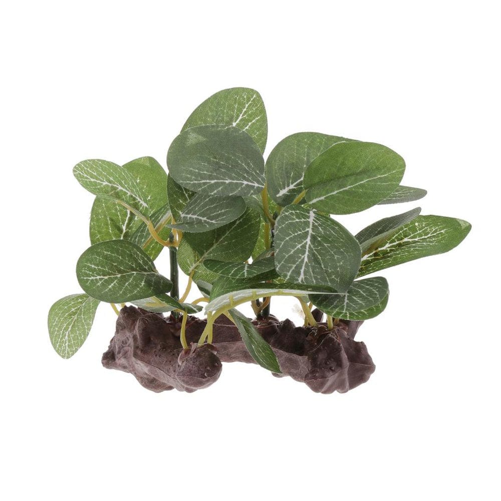 5Pcs Terrarium Fake Plants Creates Natural Hiding Spot for Reptiles &Amphibians Animals & Pet Supplies > Pet Supplies > Small Animal Supplies > Small Animal Habitat Accessories Colcolo   