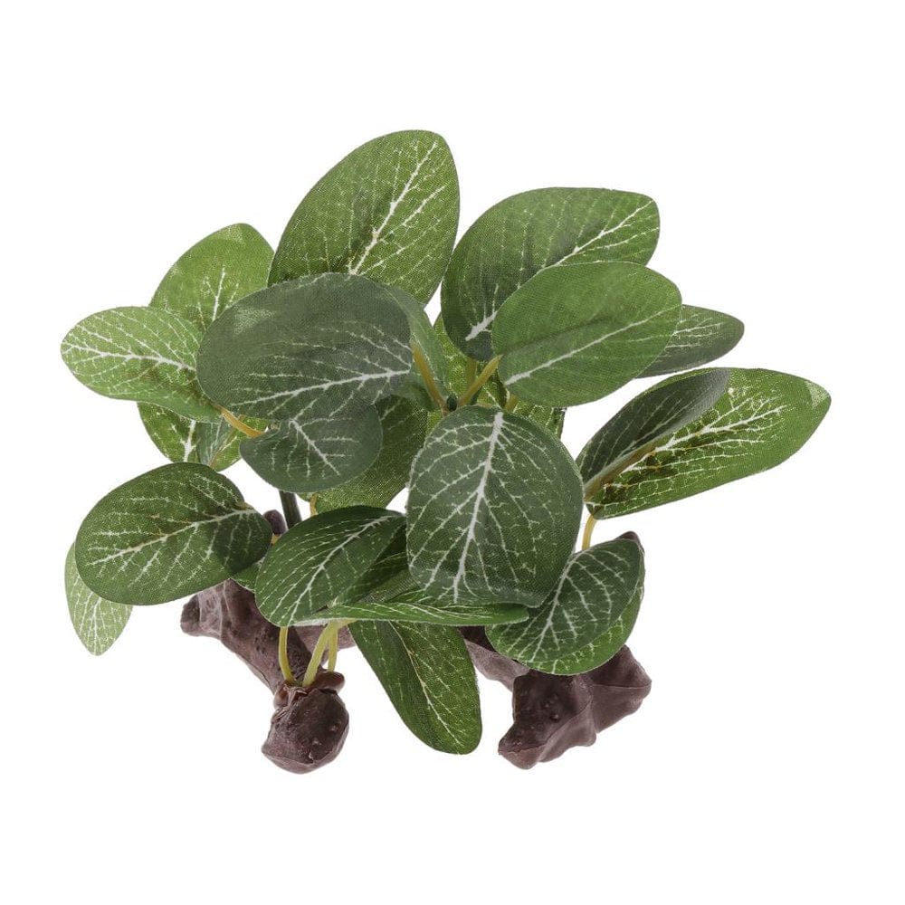 5Pcs Terrarium Fake Plants Creates Natural Hiding Spot for Reptiles &Amphibians Animals & Pet Supplies > Pet Supplies > Small Animal Supplies > Small Animal Habitat Accessories Colcolo   