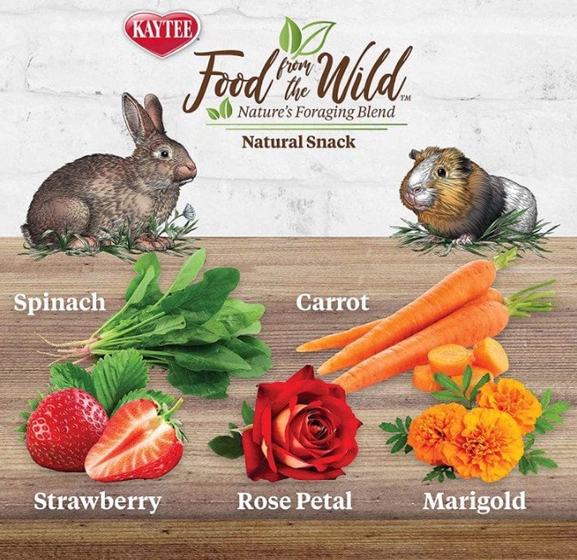 6 Oz (6 X 1 Oz) Kaytee Food from the Wild Treat Medley Rabbit / Guinea Pig Animals & Pet Supplies > Pet Supplies > Small Animal Supplies > Small Animal Treats Kaytee   