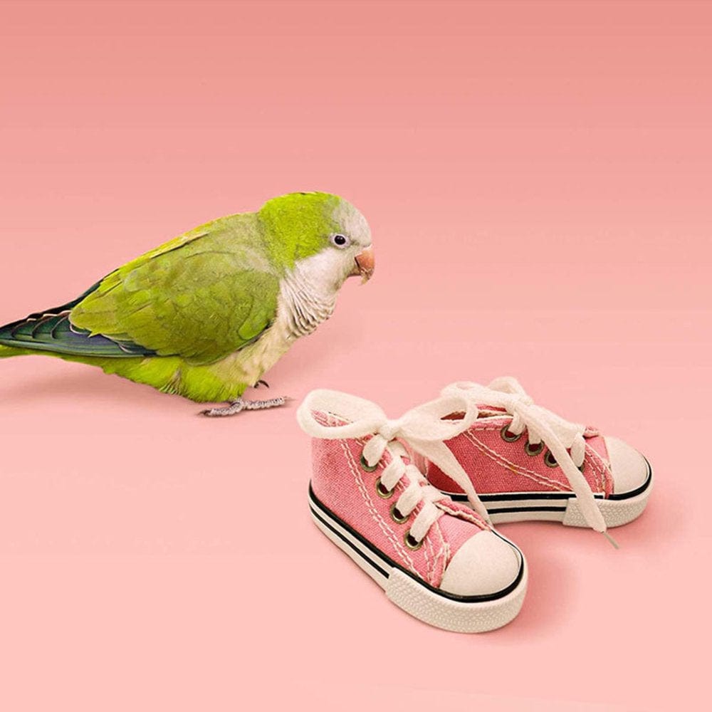 6 Pair Parrot Sneakers Bird Chewing Toy Colorful Shredder Hanging Cage Bite Toys Animals & Pet Supplies > Pet Supplies > Bird Supplies > Bird Gyms & Playstands Quetheds   