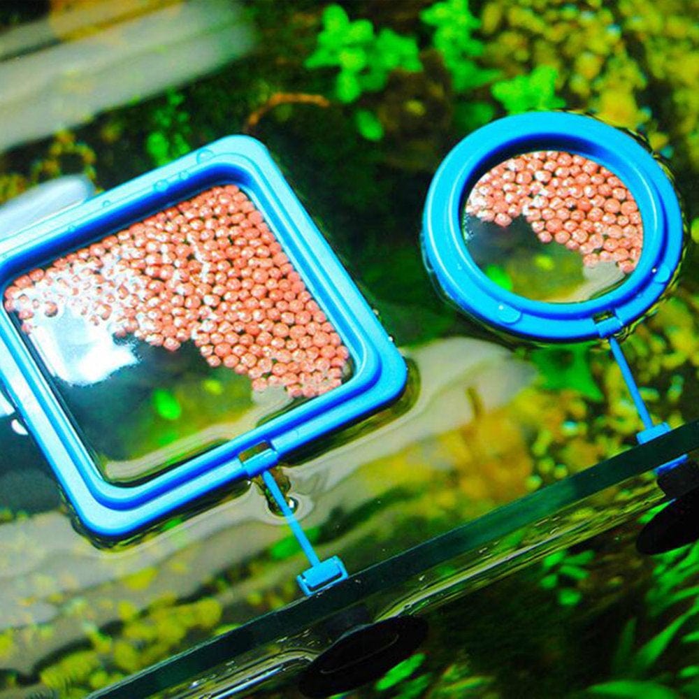 6 Pcs Aquarium Feeder Betta Fish Leaf Bed Feeding Ring Fishnet Reduce Food Waste Animals & Pet Supplies > Pet Supplies > Fish Supplies > Aquarium Fish Nets YMILEMY   