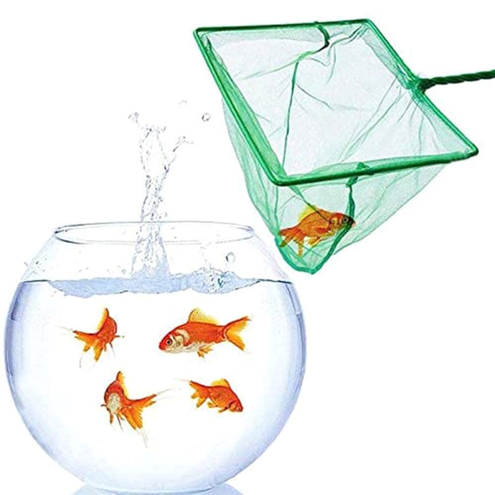 6 Pcs Aquarium Feeder Betta Fish Leaf Bed Feeding Ring Fishnet Reduce Food Waste Animals & Pet Supplies > Pet Supplies > Fish Supplies > Aquarium Fish Nets YMILEMY   