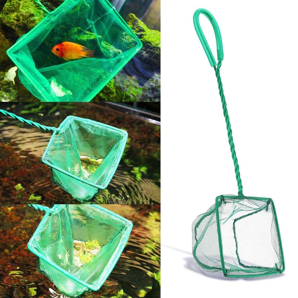 6 Pcs Aquarium Feeder Betta Fish Leaf Bed Feeding Ring Fishnet Reduce Food Waste Animals & Pet Supplies > Pet Supplies > Fish Supplies > Aquarium Fish Nets YMILEMY   