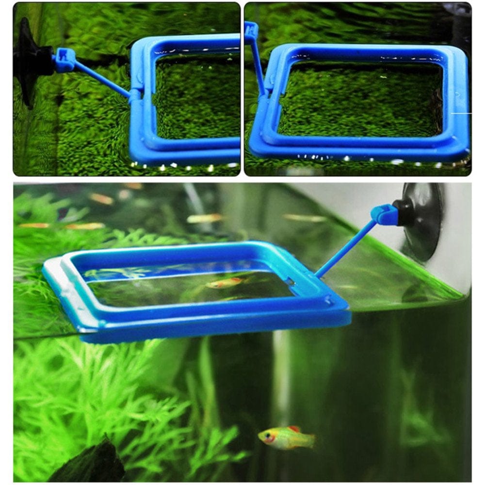 6 Pcs Aquarium Feeder Betta Fish Leaf Bed Feeding Ring Fishnet Reduce Food Waste Animals & Pet Supplies > Pet Supplies > Fish Supplies > Aquarium Fish Nets YMILEMY   