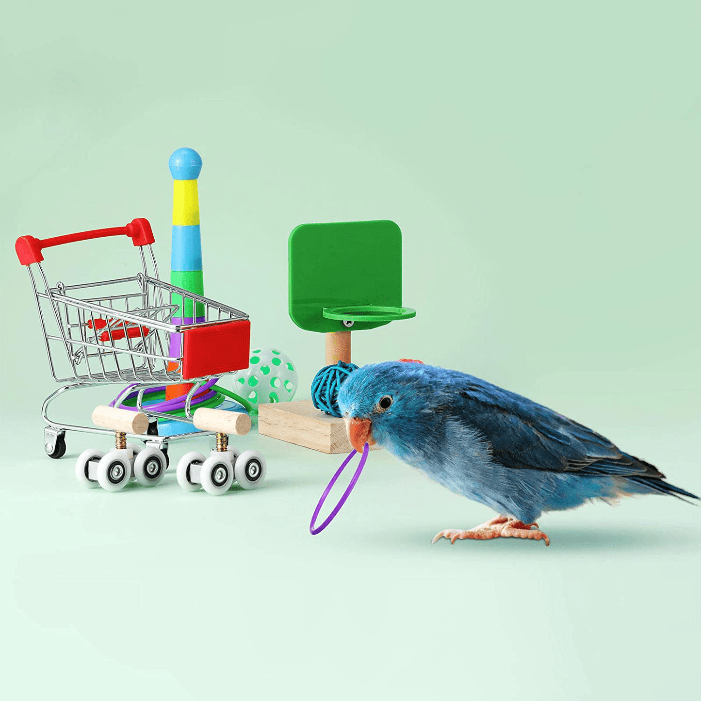 6 Pieces Bird Training Toys Parrot Intelligence Toy Mini Shopping Cart Mini Roller Skate Toy Basketball Stacking Rings Bird Toy Bell Balls for Parrots and Birds Trick Tabletop Toys Animals & Pet Supplies > Pet Supplies > Bird Supplies > Bird Toys Skylety   