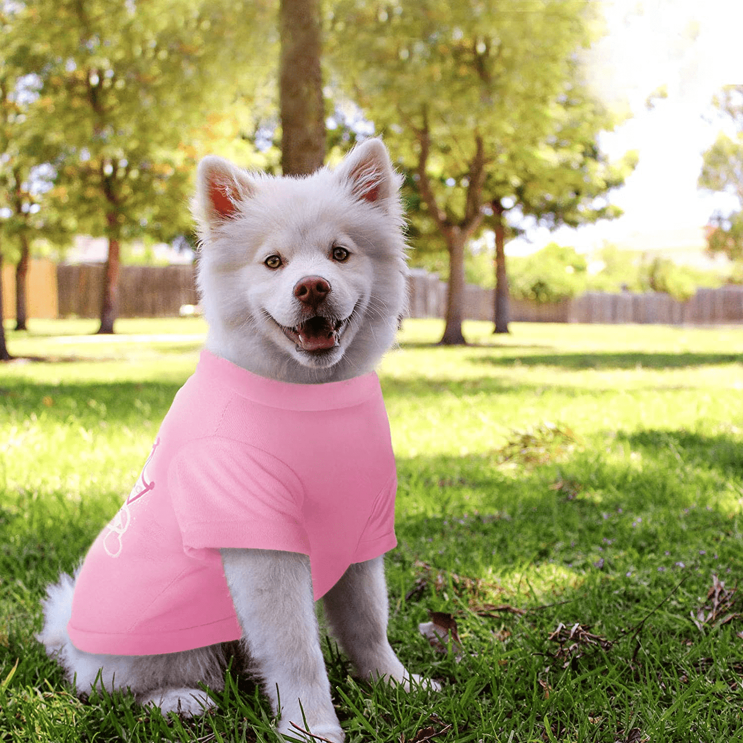 6 Pieces Printed Puppy Dog Shirts Soft Puppy Sweatshirt Breathable Pet Shirts Daily Puppy Clothing for Dogs and Cats (Small) Animals & Pet Supplies > Pet Supplies > Cat Supplies > Cat Apparel Syhood   