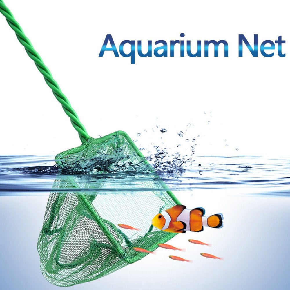 60% off Clear! SUWHWEA 12Inch Aquarium Net Fish Tank Net Fine Mesh Fish Catch Net with Plastic Handle Pet Supplies on Clearance Fall Savings in Season Animals & Pet Supplies > Pet Supplies > Fish Supplies > Aquarium Fish Nets SUWHWEA A Green 