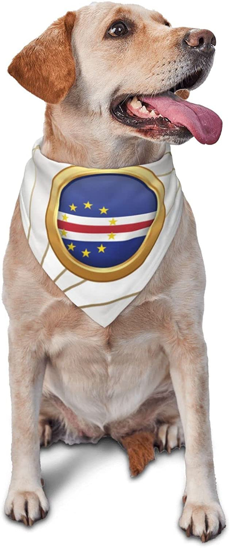 Golden Disc Cape Verde Flag Pet Dog and Cat Decorative Triangle Scarf,Dog Bandana,Breathable and Stain Resistant. Animals & Pet Supplies > Pet Supplies > Dog Supplies > Dog Apparel ZALTAS   