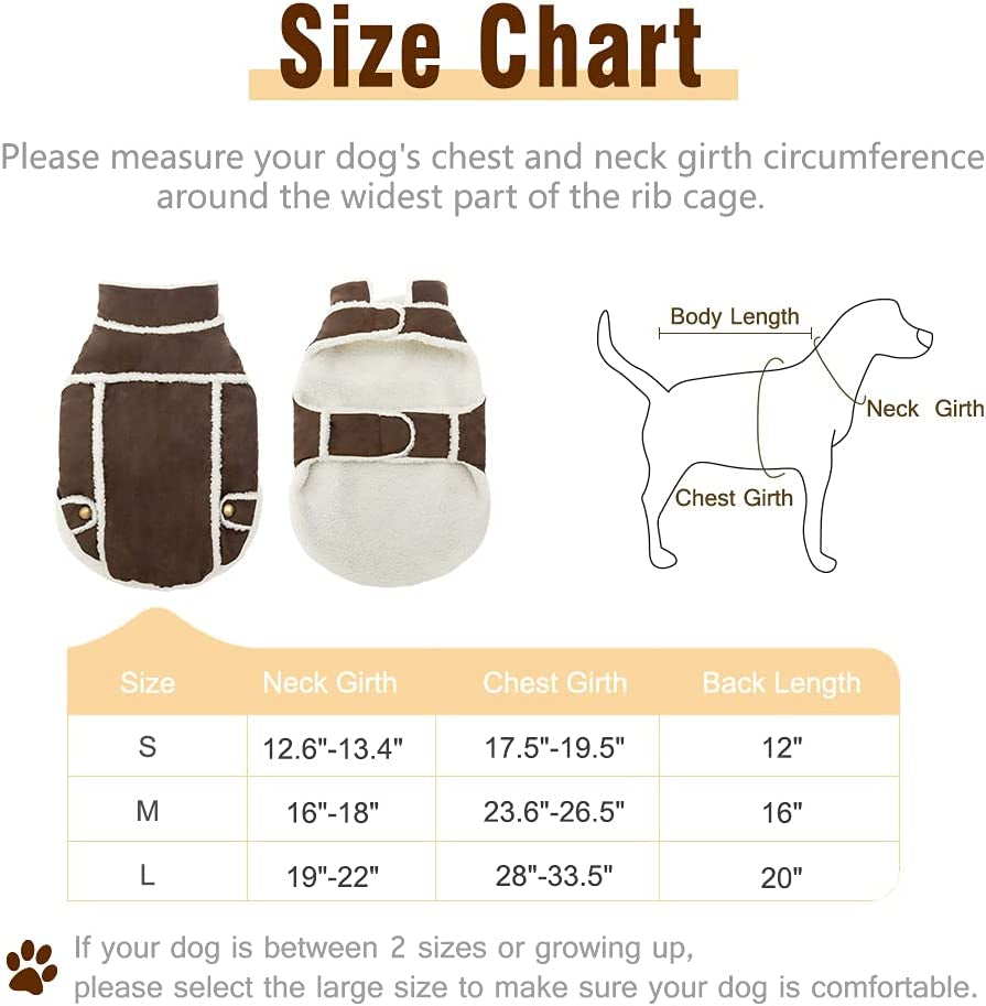 BINGPET Dog Winter Coat - Cold Weather Dog Clothes, Windproof Fall Outfit for Dogs with Fleece Lined, Soft and Warm Pet Apparel Jacket for Small Medium Large Dogs Animals & Pet Supplies > Pet Supplies > Dog Supplies > Dog Apparel MR. Eazy   