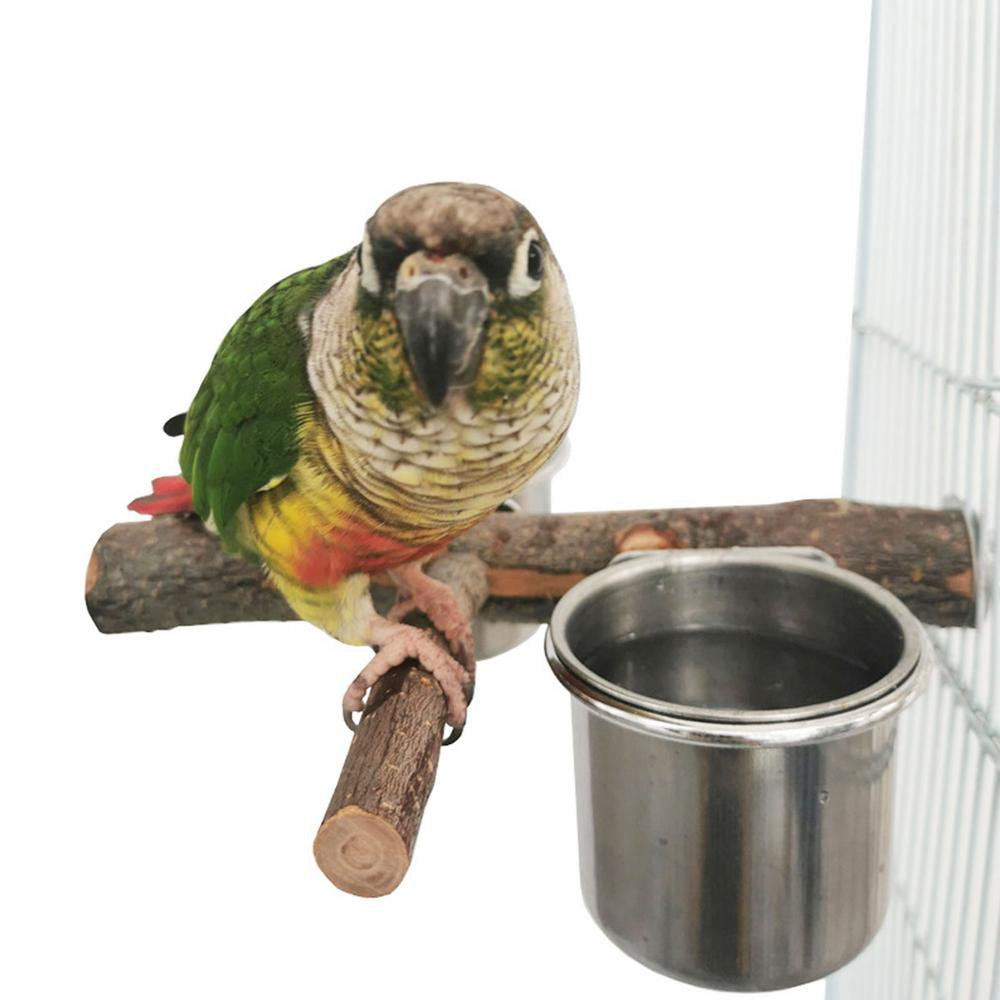 IMSHIE Bird Standing Perch with Bowls Detachable Stainless Steel Bird Feeding Cup Birds Cage Accessories Wooden Bird Stand Feeding Cage Cups for Parakeet Cockatiels Lovebirds Budgie 1Set 2 Greater Animals & Pet Supplies > Pet Supplies > Bird Supplies > Bird Cages & Stands IMSHIE   
