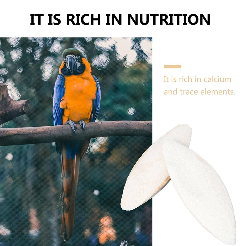 Careslong Natural Cuddle Bone Parrot Chew Toys Chewing Cuttlefish Bone Bird Cuttlebone Animals & Pet Supplies > Pet Supplies > Bird Supplies > Bird Toys FG0087600   