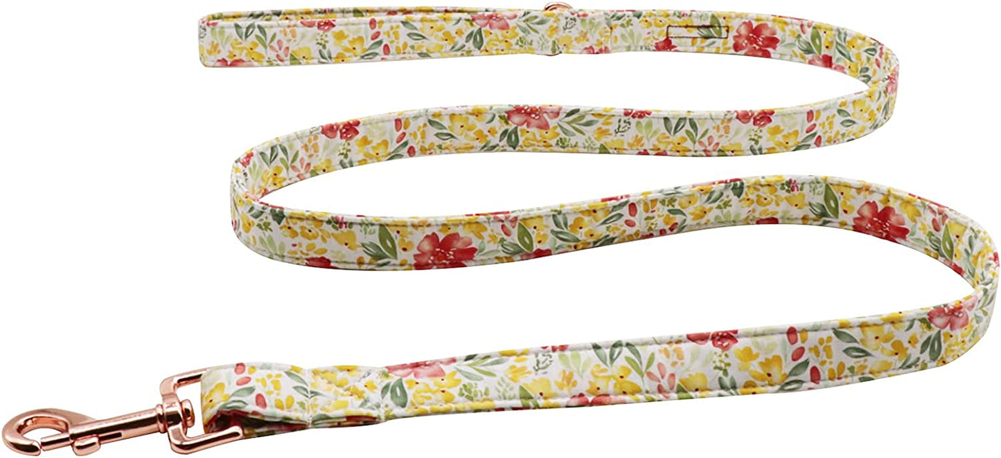 Lionet Paws Dog Collar with Bow Tie - Soft Comfortable Adjustable Collars with Metal Buckle for Medium Dogs, Neck 13.5-22 Inches Animals & Pet Supplies > Pet Supplies > Dog Supplies > Dog Apparel lionet paws Yellow Flower XS Leash (Pack of 1) 