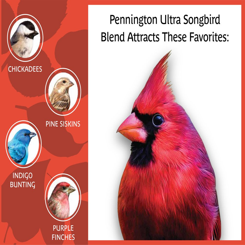 Pennington Ultra Songbird Blend Wild Bird Feed and Seed, 14 Lb. Bag Animals & Pet Supplies > Pet Supplies > Bird Supplies > Bird Treats CENTRAL GARDEN & PET COMPANY   