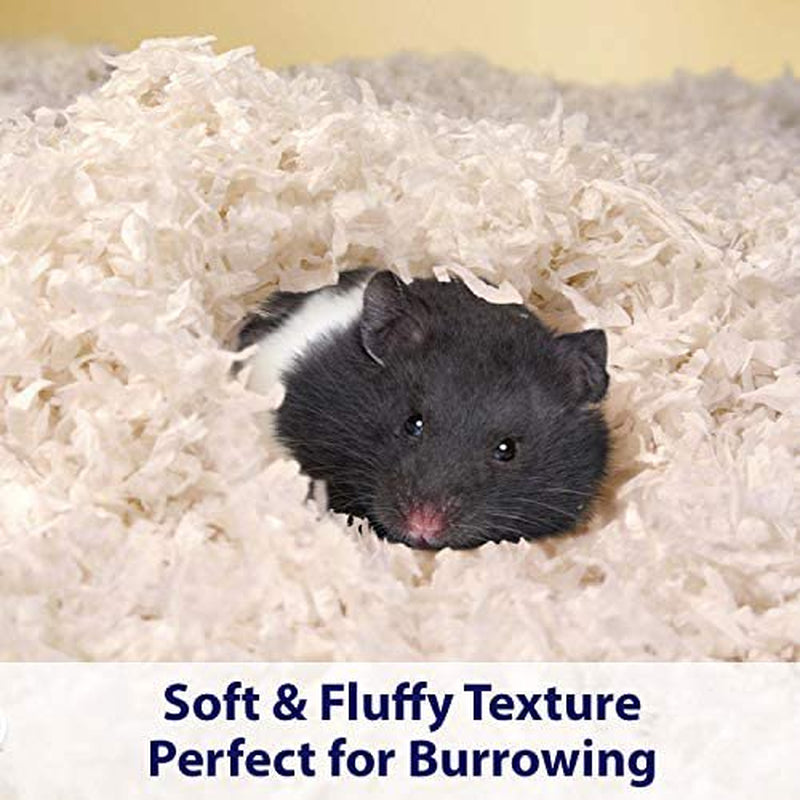 Kaytee Clean & Cozy White Small Animal Bedding Animals & Pet Supplies > Pet Supplies > Small Animal Supplies > Small Animal Bedding Rehoboth Tradings LLC   