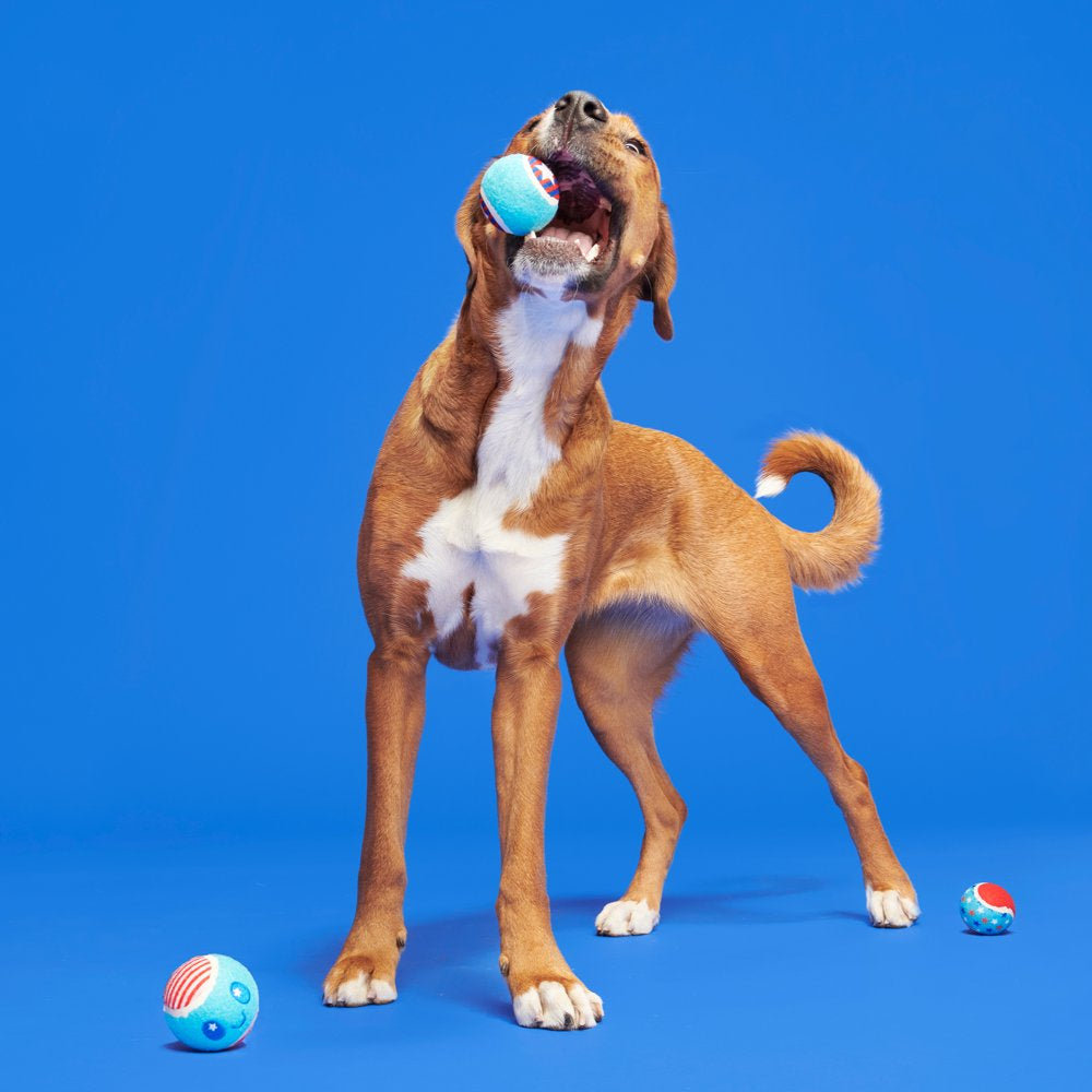 BARK Fetch of July - 3 Yankee Doodle Dog Tennis Ball Toys, Includes Squeakers, All Dog Sizes Animals & Pet Supplies > Pet Supplies > Dog Supplies > Dog Toys BARK   