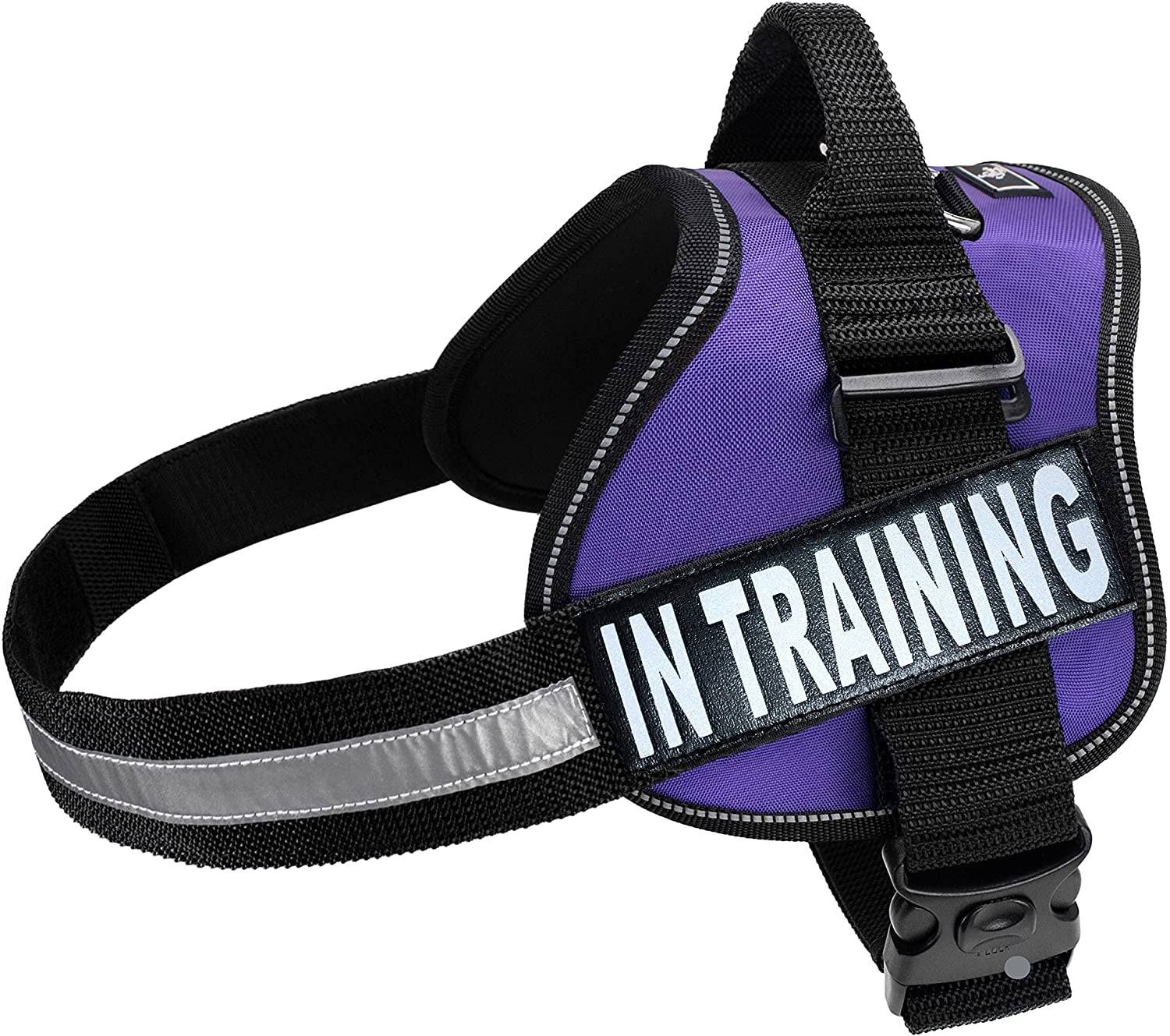 Service Dog Harness Vest Cool Comfort Nylon for Dogs Small Medium Large Girth, Purchase Comes with 2 in Training Reflective Patches. Please Measure Dog before Ordering (Girth 24-31", Red) Animals & Pet Supplies > Pet Supplies > Dog Supplies > Dog Apparel Doggie Stylz Purple Girth 28-38" 