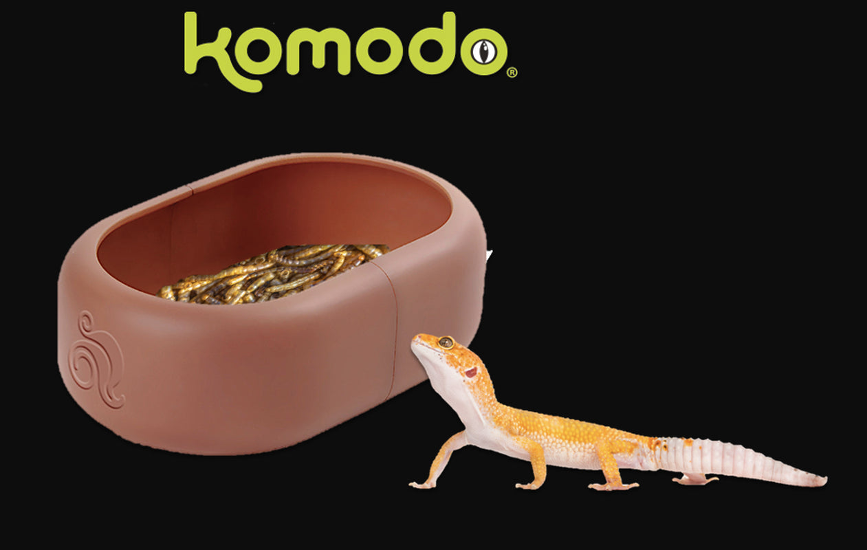 Komodo Smart Mealworm Reptile Feeding Dish for Aquarium or Reptile Tank, Brown, Thermoplastic Animals & Pet Supplies > Pet Supplies > Fish Supplies > Aquarium Decor Multipet International, Inc.   