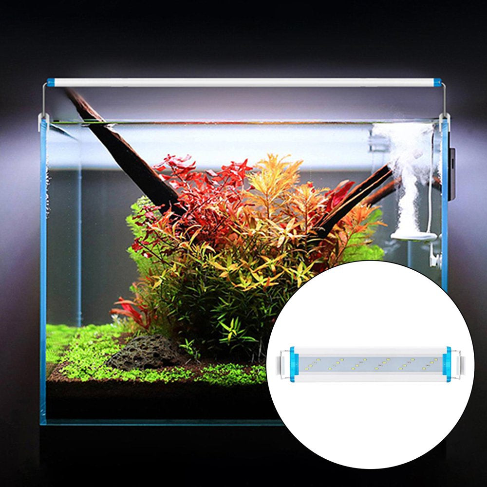 LED Aquarium Light , Fish Tank Light with Extendable Brackets, White Leds for Aquatic Coral Plants and Freshwater Fish Tank 12W 24Leds Animals & Pet Supplies > Pet Supplies > Fish Supplies > Aquarium Lighting perfk   