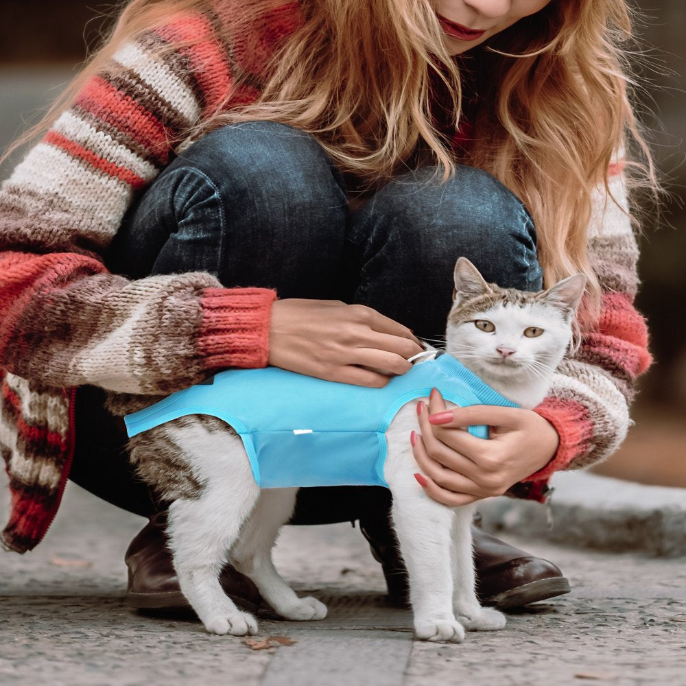 LEXVSS 2 Pieces Cat Recovery Suit, after Surgical Clothes for Abdominal Wounds & Surgery Animals & Pet Supplies > Pet Supplies > Cat Supplies > Cat Apparel LEXVSS   