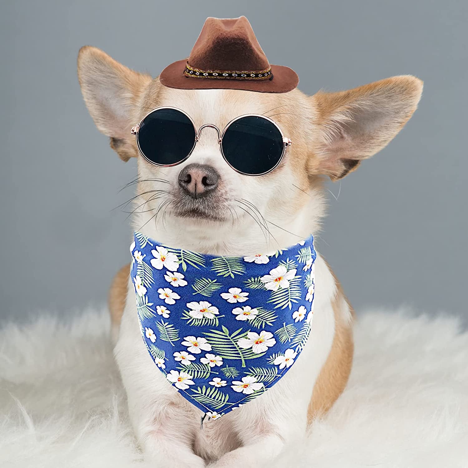 Pai Sence 3Pcs Brown Dog Cowboy Hat Floral Bandana Triangle Scarf Fashion Sunglasses West Cowboy Costume Accessories Set for Small Medium Puppy Dogs Cats Kitten Hawaii Festival Party Daily Wearing Animals & Pet Supplies > Pet Supplies > Dog Supplies > Dog Apparel Paixiu   