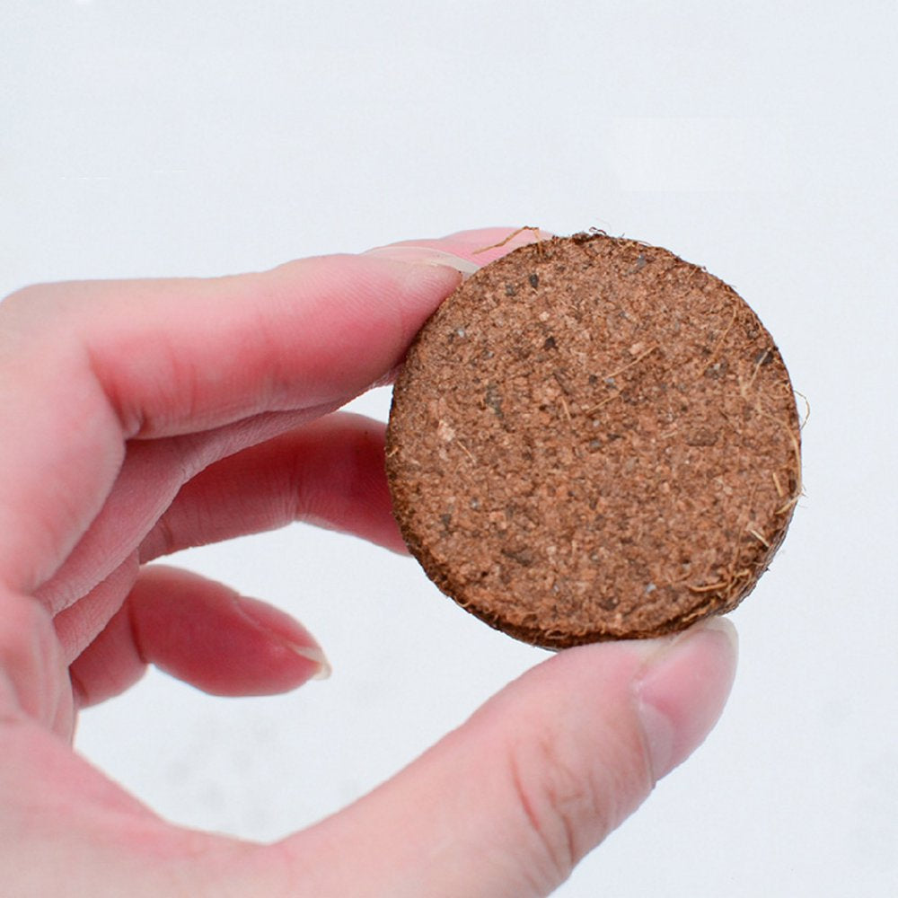 Sorrowso 5Pcs Tortoise Substrate Brick Natural Coir Discs Reptile Aquarium Ornaments Gardening Earth for Tortoise Feeding Box Animals & Pet Supplies > Pet Supplies > Fish Supplies > Aquarium Gravel & Substrates Sorrowso   