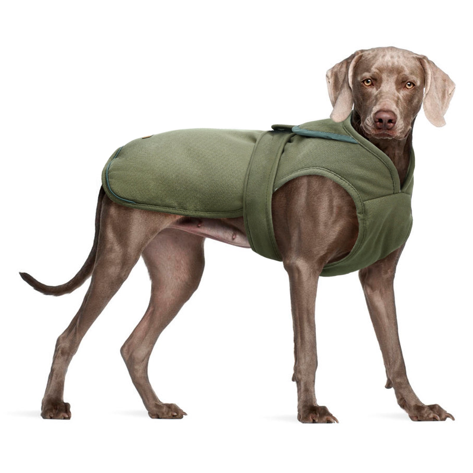 Kuoser Cotton Dog Coat & Jacket, Gray, S Animals & Pet Supplies > Pet Supplies > Dog Supplies > Dog Apparel Kuoser 3XL-Chest Girth:35.4-42.5" Green 