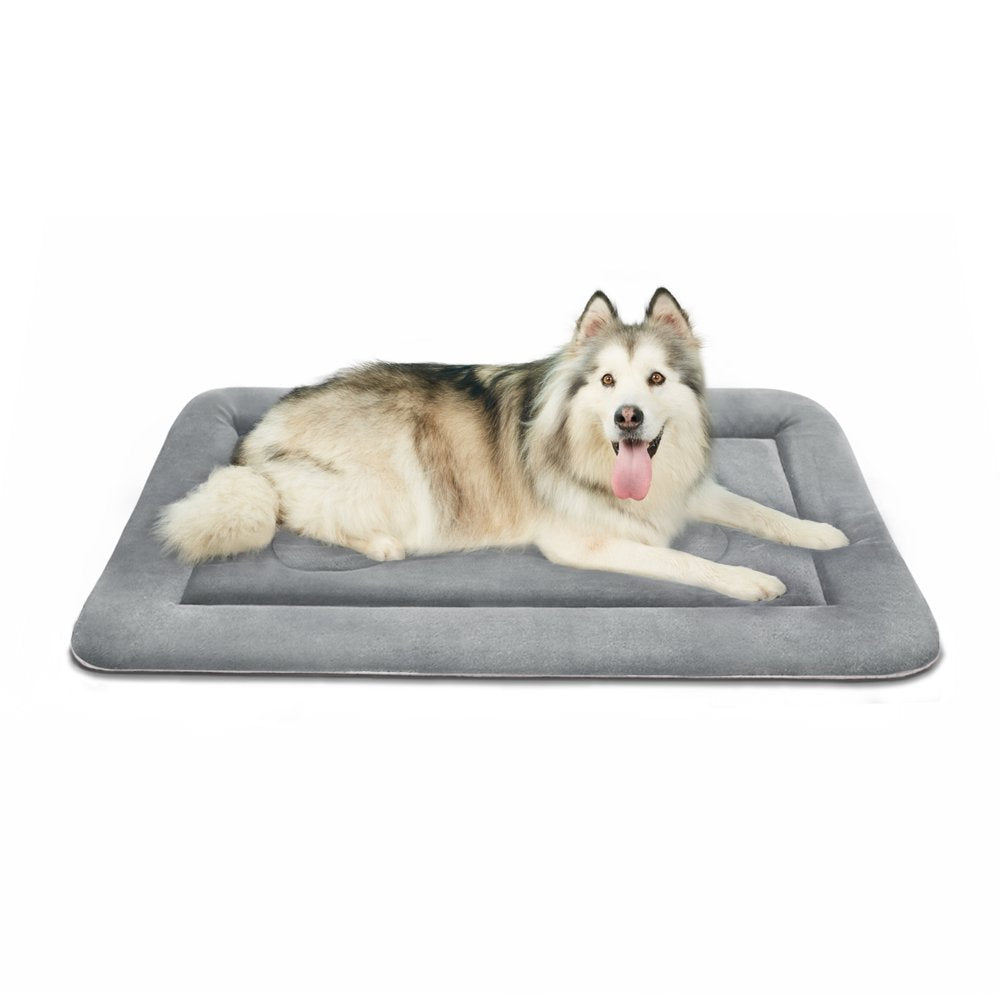 Joicyco Large Dog Bed Large Crate Mat 42 in Anti-Slip Washable Soft Mattress Kennel Pads Animals & Pet Supplies > Pet Supplies > Cat Supplies > Cat Beds JoicyCo Extra Large 47"x33" Celadon Grey 