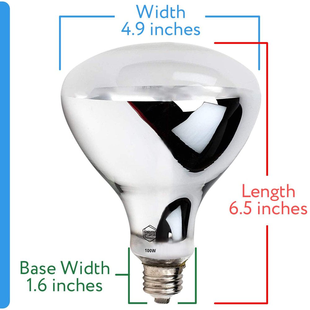 Evergreen Pet Supplies 100 Watt UVA UVB Mercury Vapor Bulb / Light / Lamp for Reptile and Amphibian Use - Excellent Source of Heat and Light for UV and Basking  Evergreen Pet Supplies   