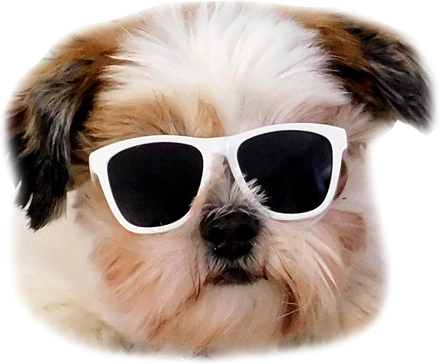 G014 Dog Pet 80S Sunglasses Goggles for Small Dogs up to 15Lbs (Pink) Animals & Pet Supplies > Pet Supplies > Dog Supplies > Dog Apparel Style Vault White  