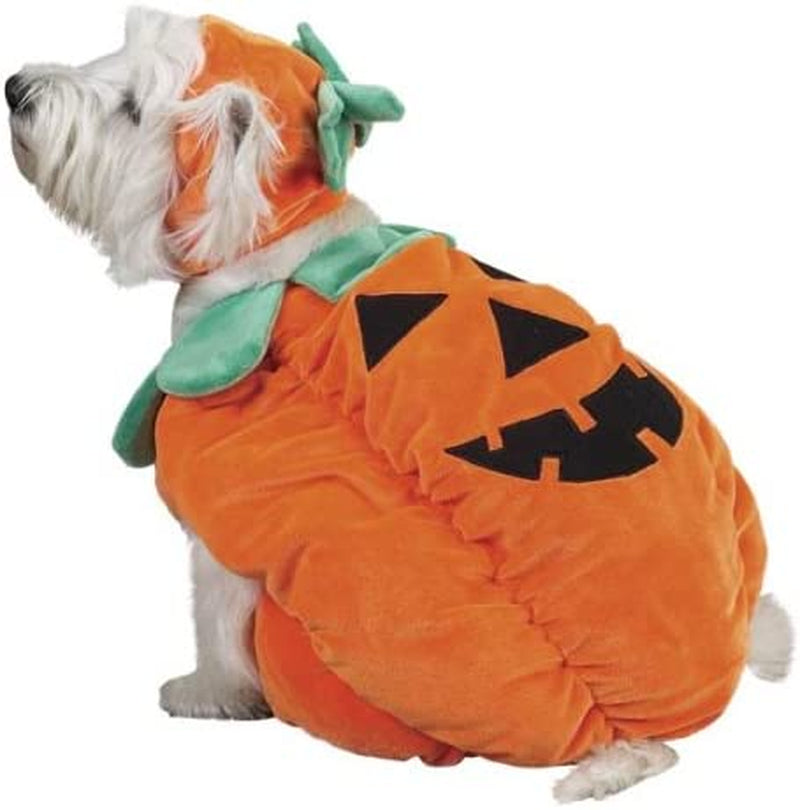 Zack & Zoey Pumpkin Pooch Dog Costume, X-Large, Orange Animals & Pet Supplies > Pet Supplies > Dog Supplies > Dog Apparel PetEdge Dealer Services   