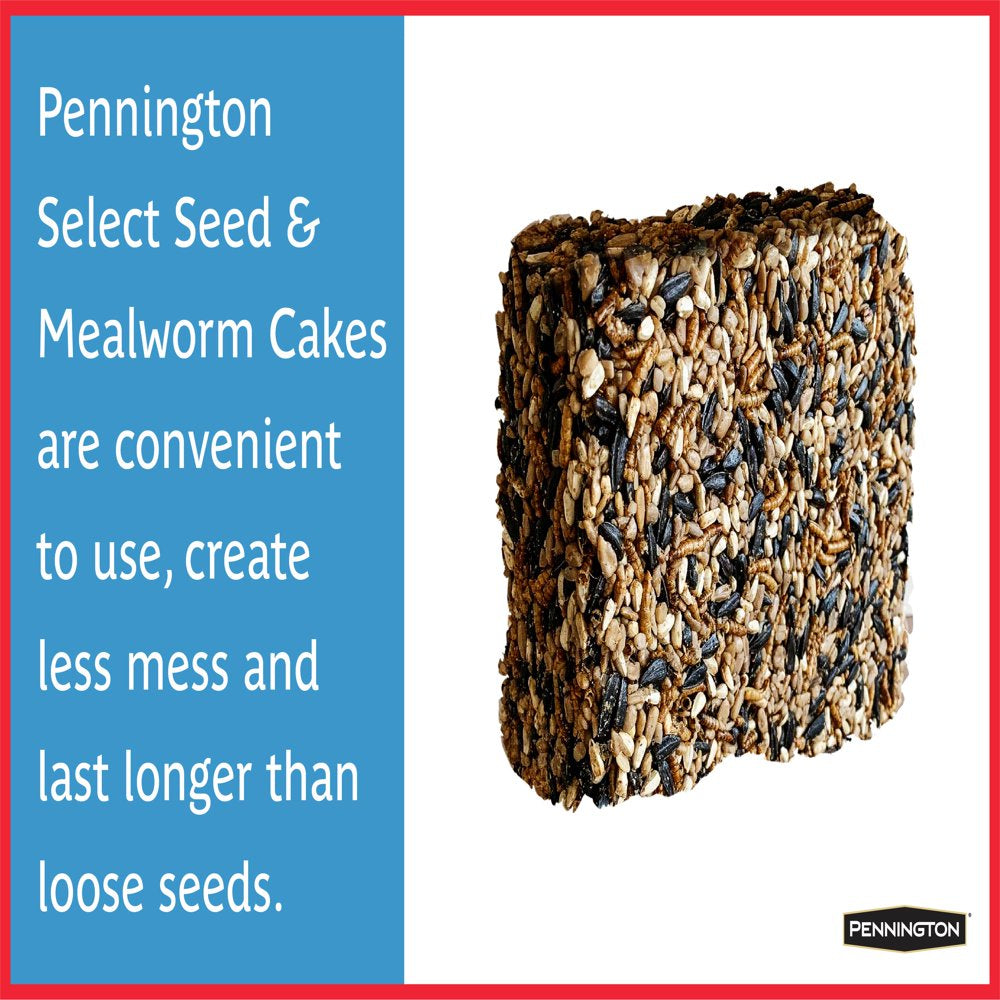 Pennington Seed & Mealworm Treat Cake, Wild Bird Feed, 1.4 Lb. Animals & Pet Supplies > Pet Supplies > Bird Supplies > Bird Treats CENTRAL GARDEN & PET COMPANY   