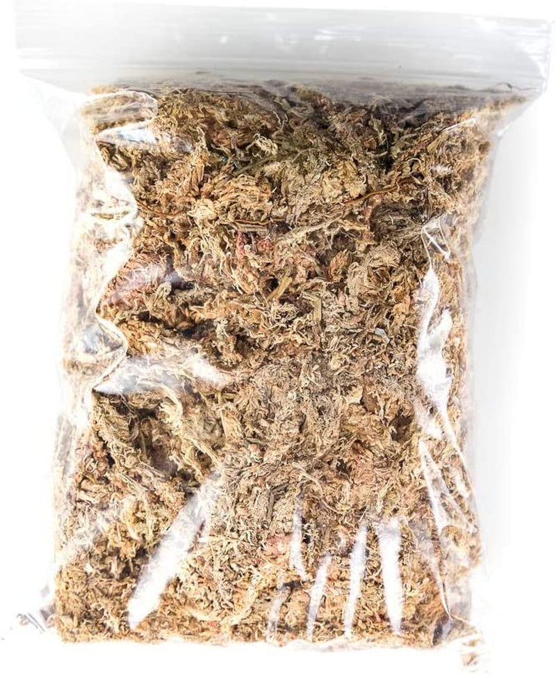 Josh'S Frogs Chilean Sphagnum Moss (100G Bag) Animals & Pet Supplies > Pet Supplies > Reptile & Amphibian Supplies > Reptile & Amphibian Substrates Josh's Frogs   