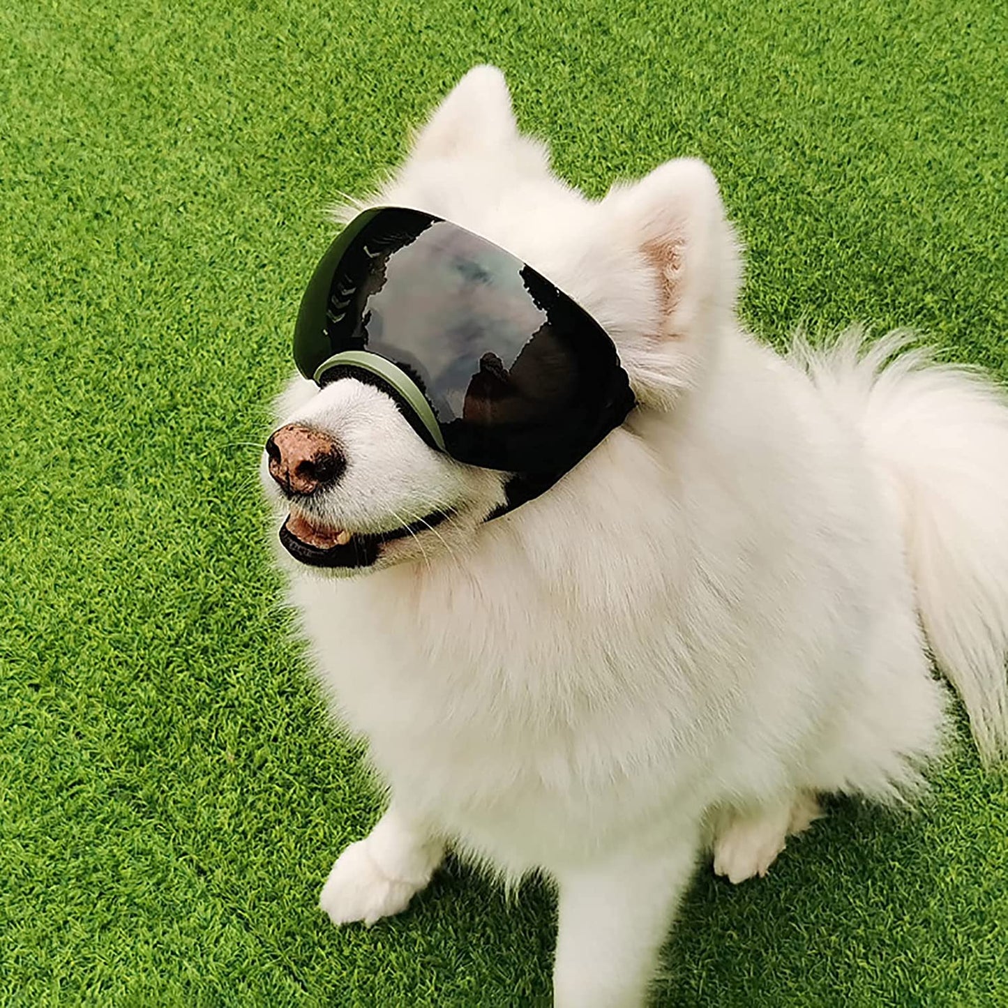 HGKL Dog Sunglasses, Soft Frame Eye Wear Goggles, Anti-Uv Windproof Adjustable Medium to Large Dog Goggles, Alaskan Malamute, Labrador and Border Collie Black Animals & Pet Supplies > Pet Supplies > Dog Supplies > Dog Apparel HGKL0000829   