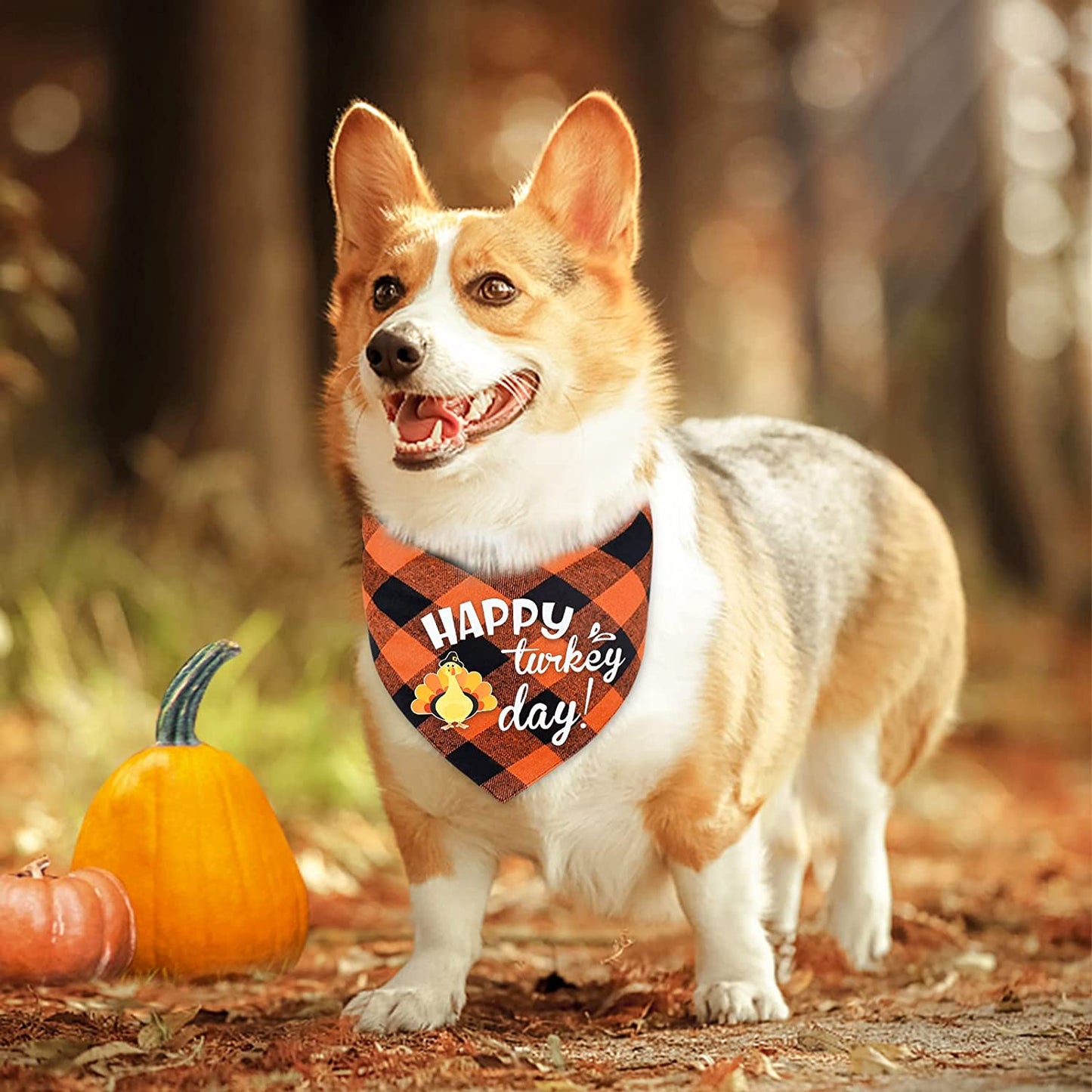 Malier 2 Pack Thanksgiving Dog Bandana, Holiday Classic Buffalo Plaid Turkey Pumpkin Pattern Bandana, Dog Scarf Triangle Bibs Kerchief Costume Accessories for Small Medium Large Dogs Cats (Large) Animals & Pet Supplies > Pet Supplies > Dog Supplies > Dog Apparel Malier   