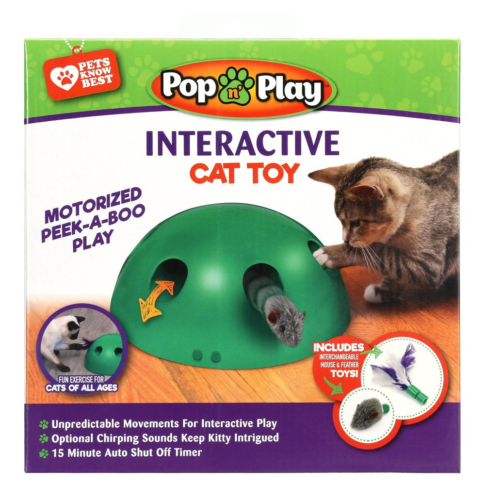 Pets Know Best Pop N' Play Peek-A-Boo Cat Toy, Green Animals & Pet Supplies > Pet Supplies > Cat Supplies > Cat Toys Allstar Products Group   