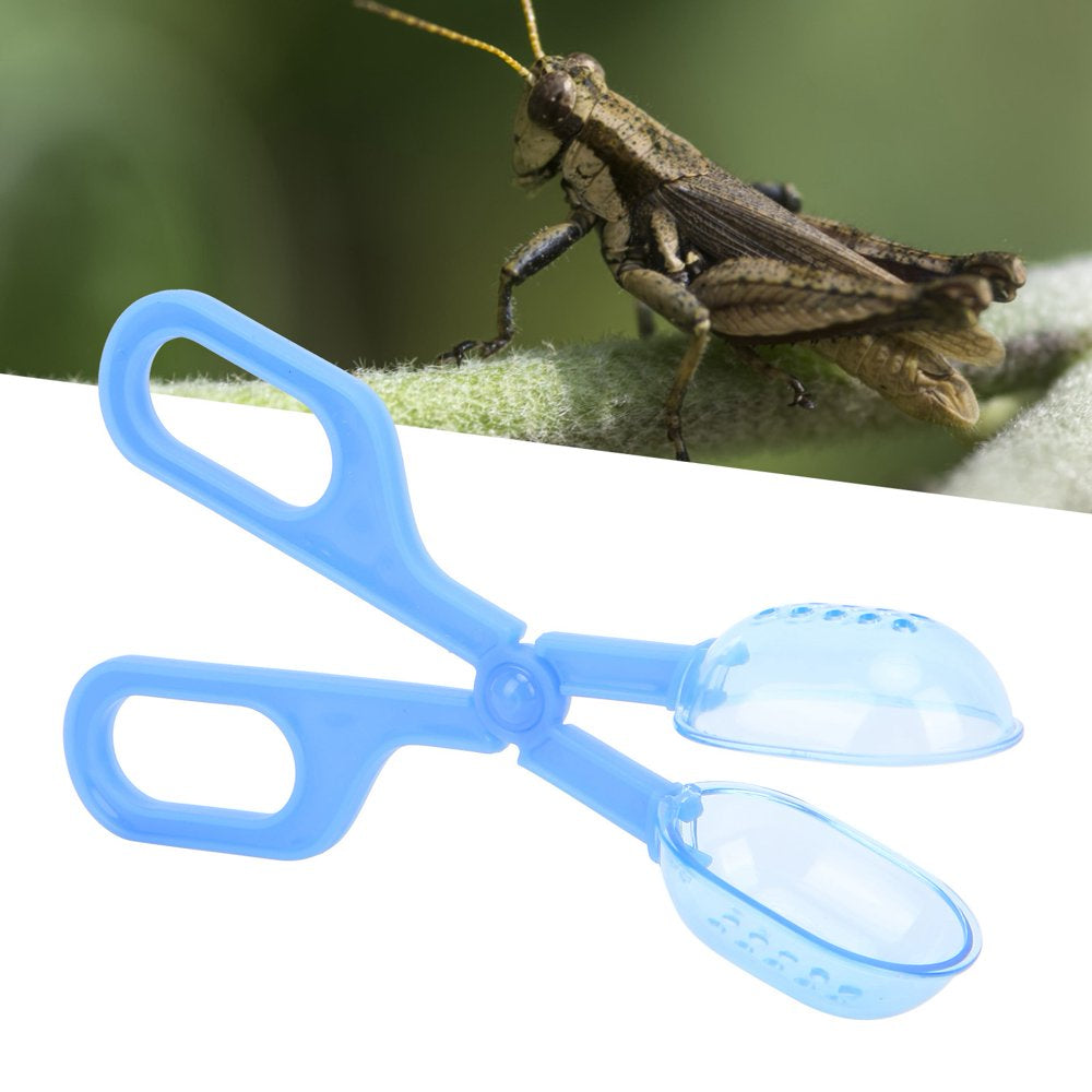 Amphibian Terrarium Feeding Clamp, Reptile Supplies Reptile Feeder Reptile Feeding Clamp for Feeding for Cricket for Spider Animals & Pet Supplies > Pet Supplies > Reptile & Amphibian Supplies > Reptile & Amphibian Food Demonsen   