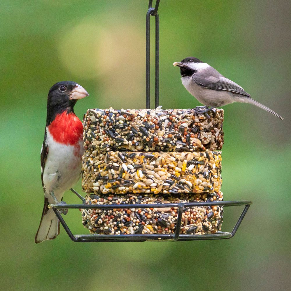 Audubon Park Songbird Snack Stack Wild Bird Food, New, 8.25 Oz. Animals & Pet Supplies > Pet Supplies > Bird Supplies > Bird Food Global Harvest Foods Ltd.   