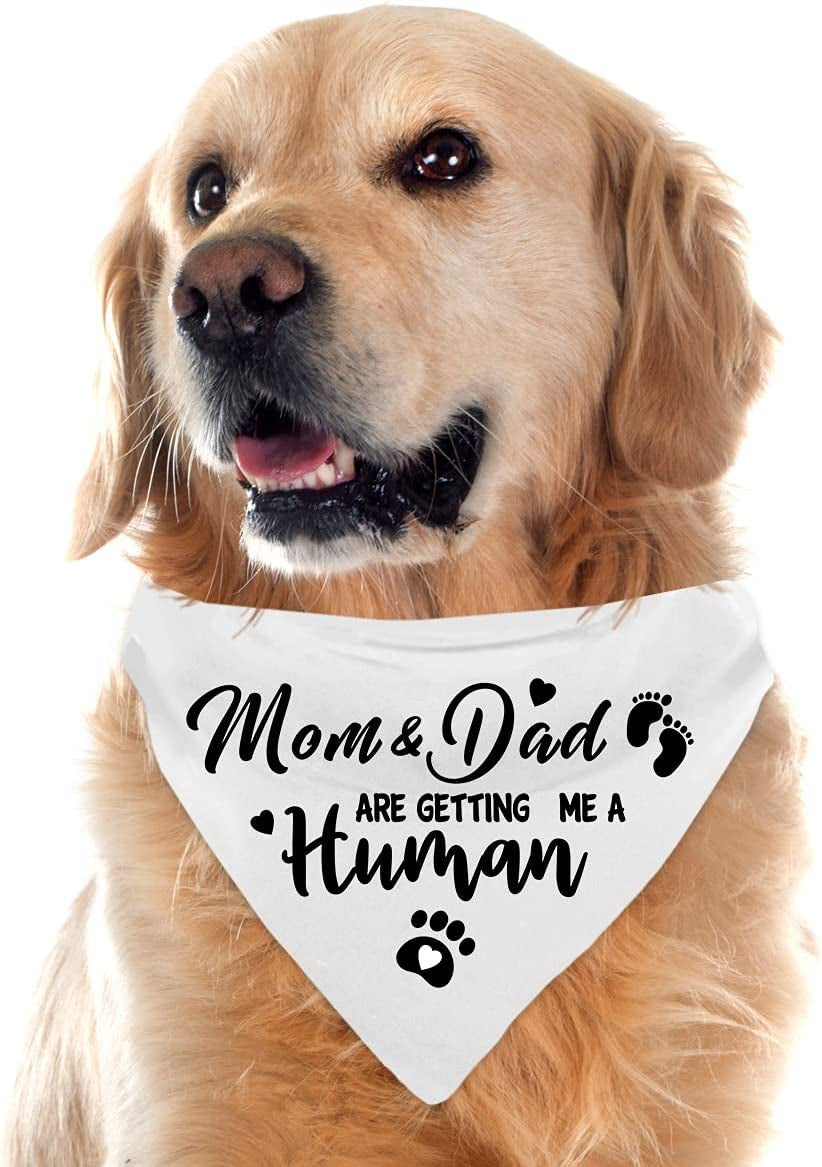 Mom&Dad Are Getting Me a Human, Gender Reveal Photo Prop Pet Scarf Decorations Accessories Dog Bandana, Pet Accessories for Dog Lovers, Pack of 2 Animals & Pet Supplies > Pet Supplies > Dog Supplies > Dog Apparel Yangmics Direct   