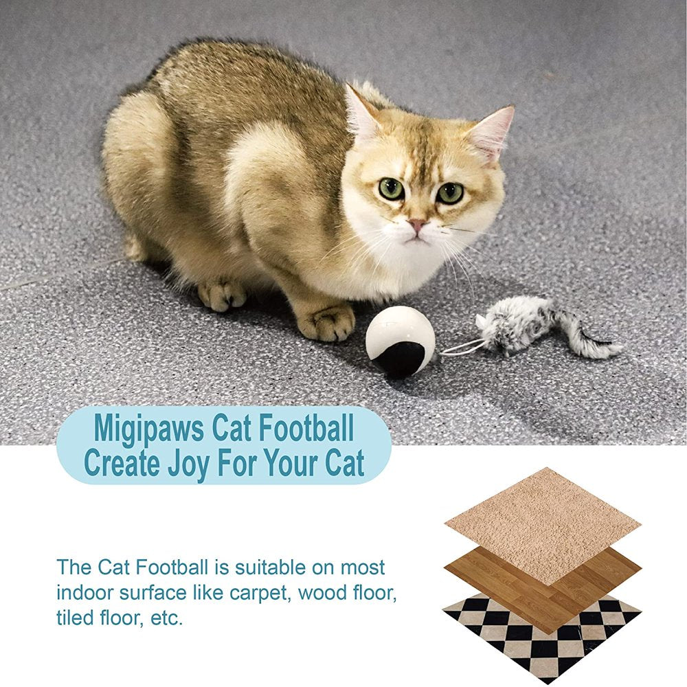 Migipaws Cat Toy, Interactive Automatic Moving Ball Bundle, Classic Mice and Feather in a Pack, Smart Electric Teaser with USB Rechargeable for Kitten and Pets Animals & Pet Supplies > Pet Supplies > Cat Supplies > Cat Toys Nanjing Dimeng Technology Co., Ltd.   