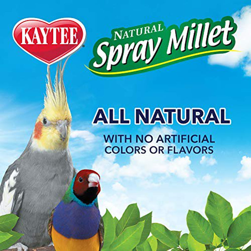 Kaytee Spray Millet Treat for Pet Birds, 5 Pound Animals & Pet Supplies > Pet Supplies > Bird Supplies > Bird Treats Kaytee   