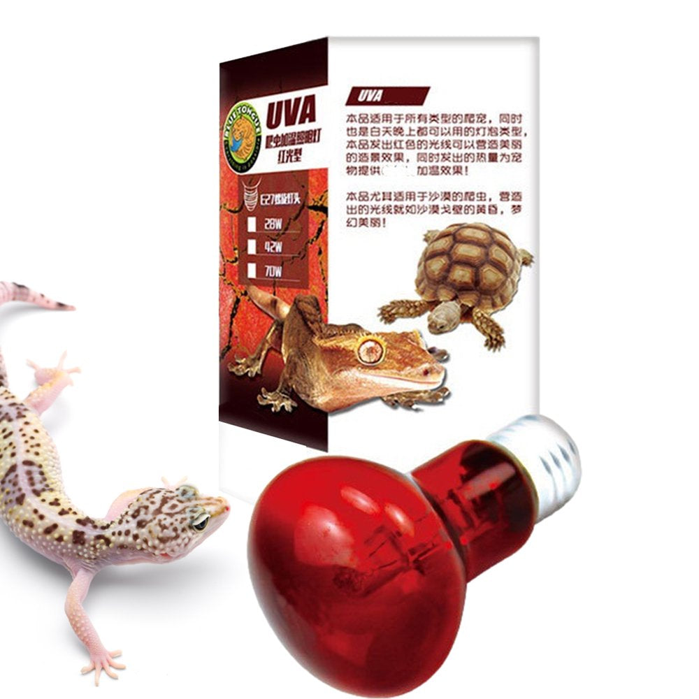 BESTHUA Reptile Heat Bulb | High Intensity UVA Light Bulb | Heating Light for Reptiles and Amphibian Use, Basking Light for Turtle, Bearded Dragon, Lizard  BESTHUA   